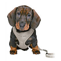 Trixie Puppy Soft Hám pórázzal Világosszürke 26-34cm 10mm/2m