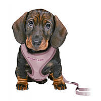 Trixie Puppy Soft Hám pórázzal Világoslila 26-34cm 10mm/2m