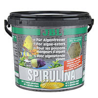JBL Premium Spirulina Alga 5,5l