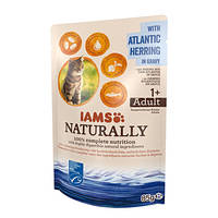 IAMS Naturally Cat Észak-Atlanti Hering Szószban 85g