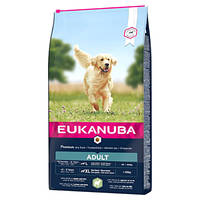 Eukanuba Adult Large Lamb Rice 12kg
