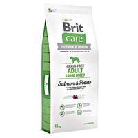Brit Care Grain Free Adult Large Salmon & Potato 12+2kg Ajándék