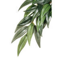 ExoTerra Jungle Plants Ruscus L 60cm