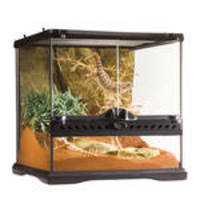 ExoTerra Glass Terrarium Mini/Wide 30x30x30cm