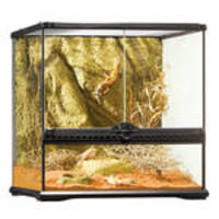 ExoTerra Glass Terrarium Small/Wide 45x45x45cm