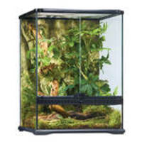 ExoTerra Glass Terrarium Small/Tall 45x45x60cm