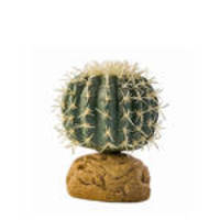 ExoTerra Desert Plant Barell Cactus Small 10cm