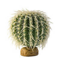 ExoTerra Desert Plant Barell Cactus Medium 15cm