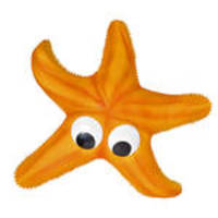 Trixie Sípoló tengeri csillag 23cm