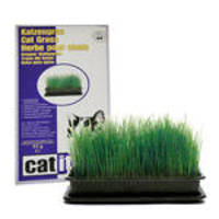 Hagen CatIt Cat Grass prémium macskafű 75g